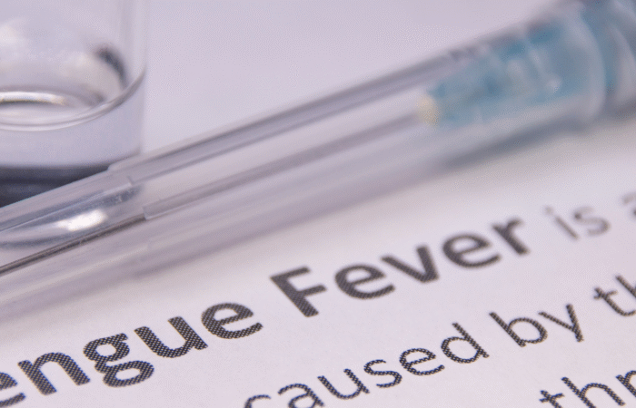 yellow fever dengue zika malaria